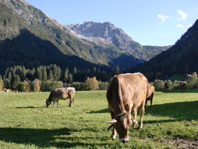 Aparthotel Walliser Stube Mittelberg Exterior foto